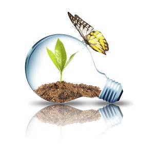 Search Engine Optimization