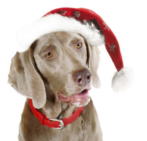 25 Days of Email Marketing Tips