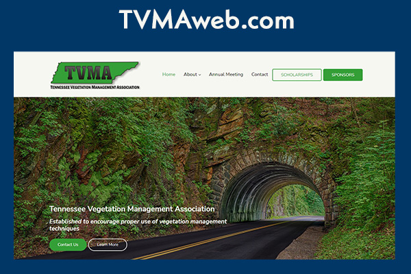 TVMAweb2