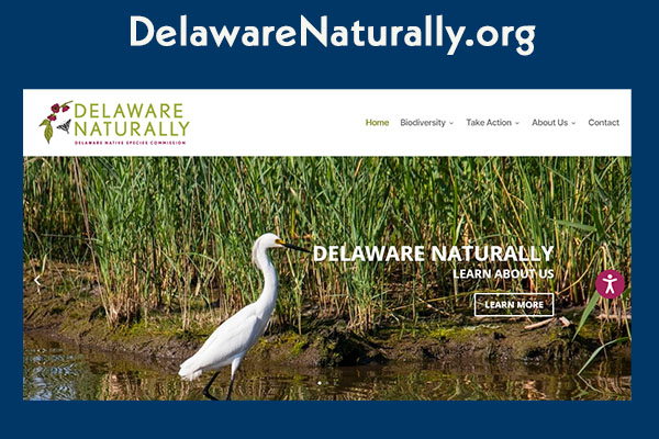 Delaware Naturally